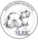 HLRSCLogo-custom-size-127-133